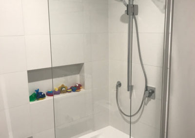 Frameless Shower Door above bathtub/shower.